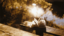 0565b42.gif