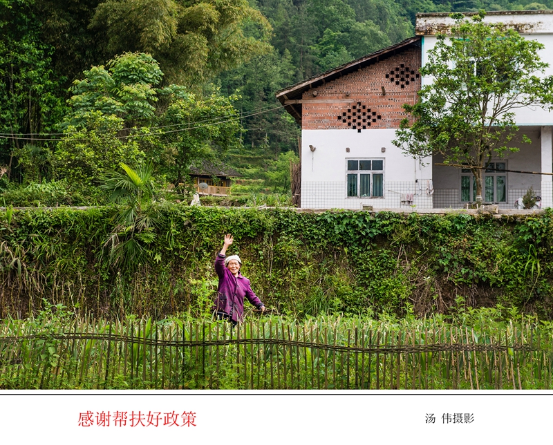 感谢政府的帮护好a.jpg